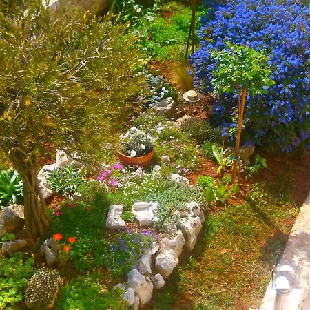 Appartement Vrancic Mit Terrasse Apartment Rovinj