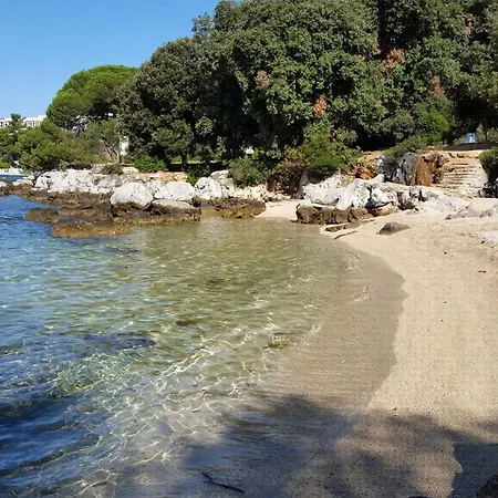 Vrancic